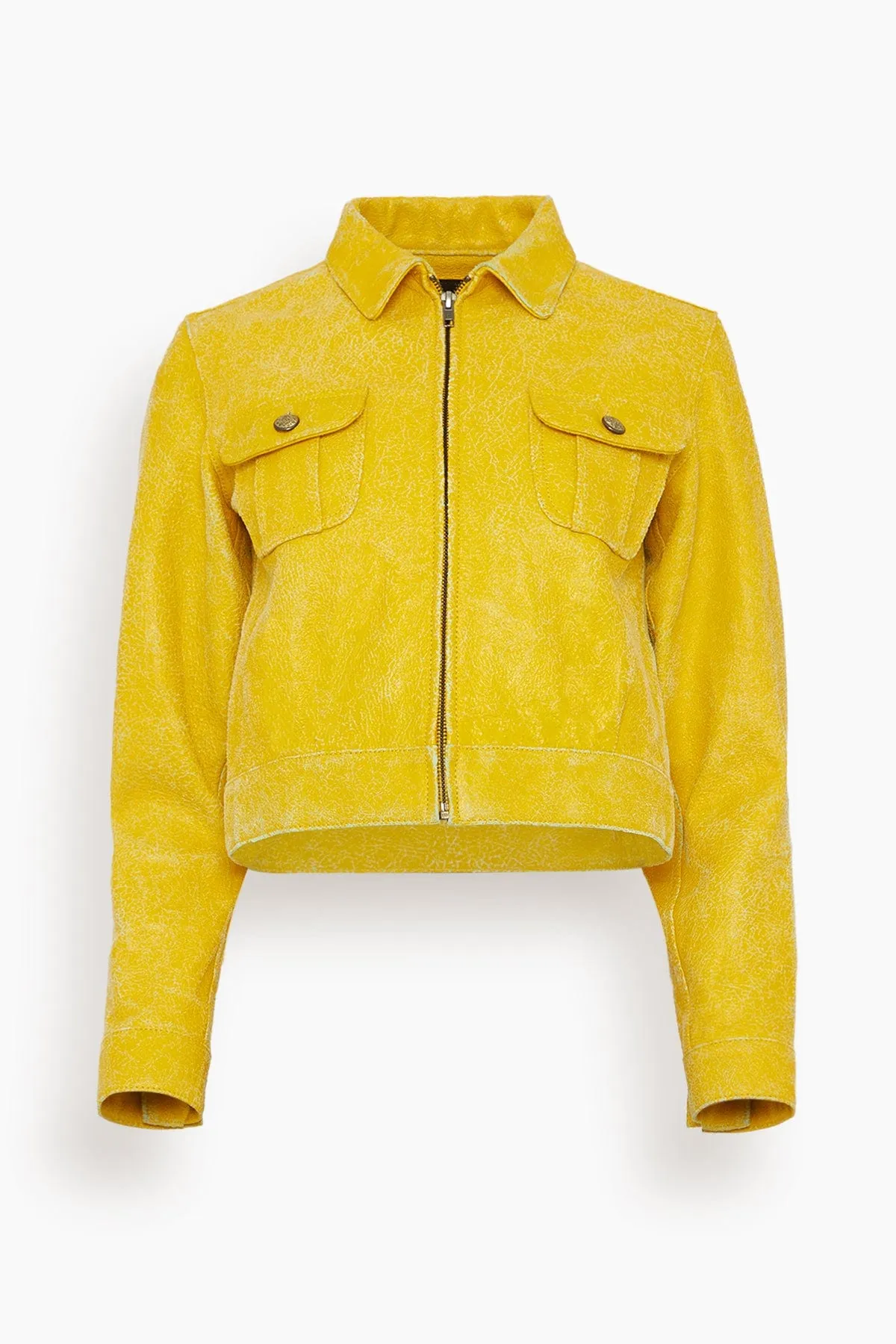 Cropped Shrunken Zip-Up in Yellow/Aqua