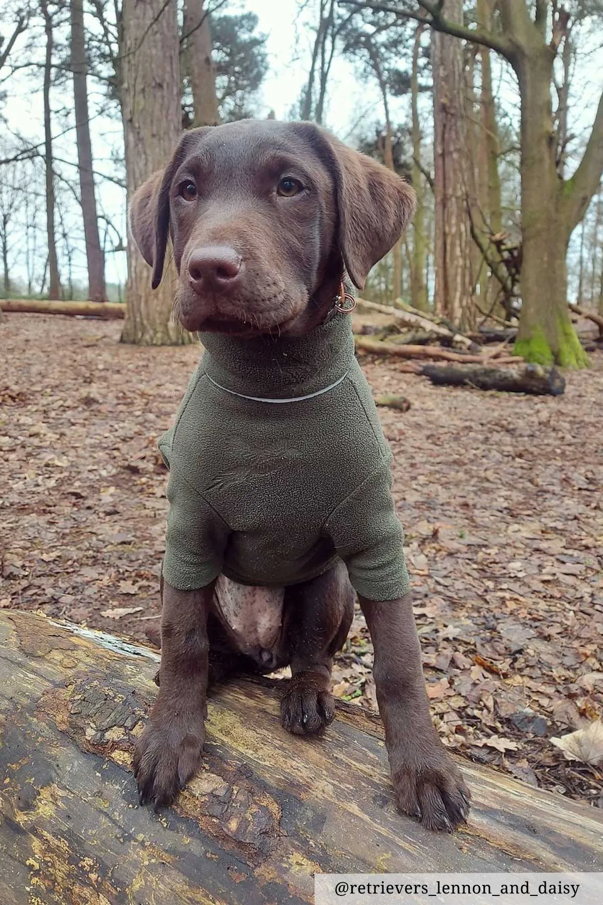 Pheasant Fleece Dog Jumper - Haxby